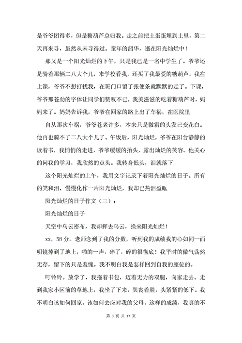 盛满阳光的箱子初中作文