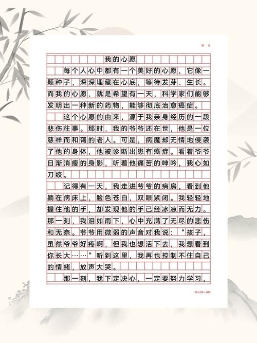 心愿的初中作文550字