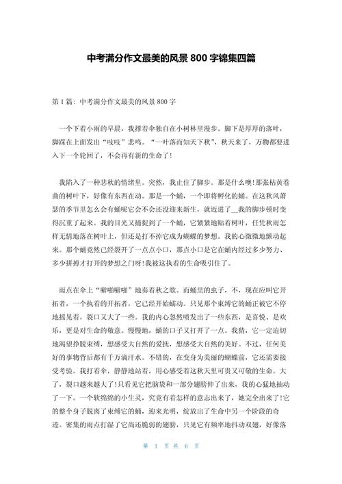 初中的印象800字作文