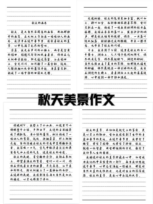 秋风的作文300字初中