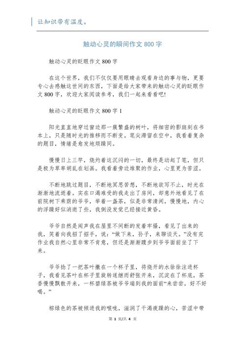 瞬间作文800初中作文