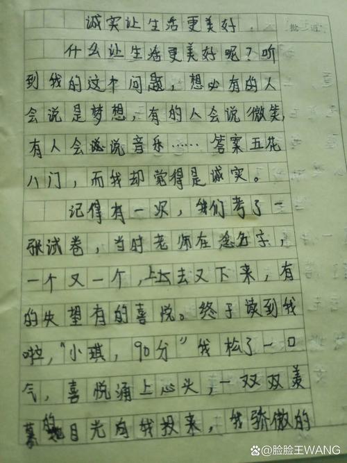 诚实的感觉真好初中作文