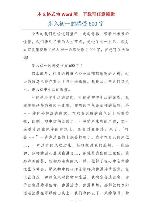 升入初中的感想600字