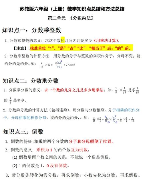 小学数学六年级上册知识点