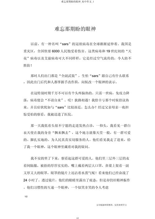 难忘的眼神500字初中