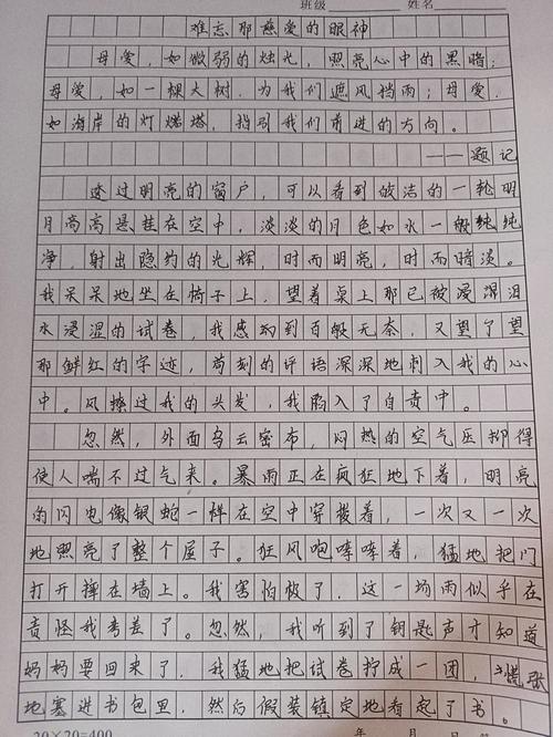 难忘的眼神500字初中