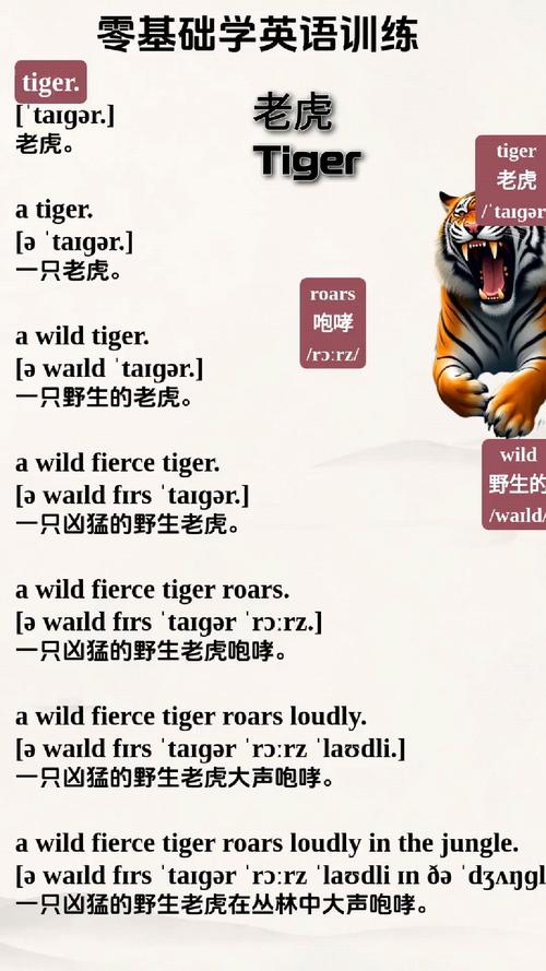 关于老虎的资料英文初中