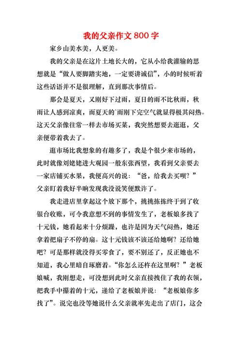 作文我的爸爸800初中