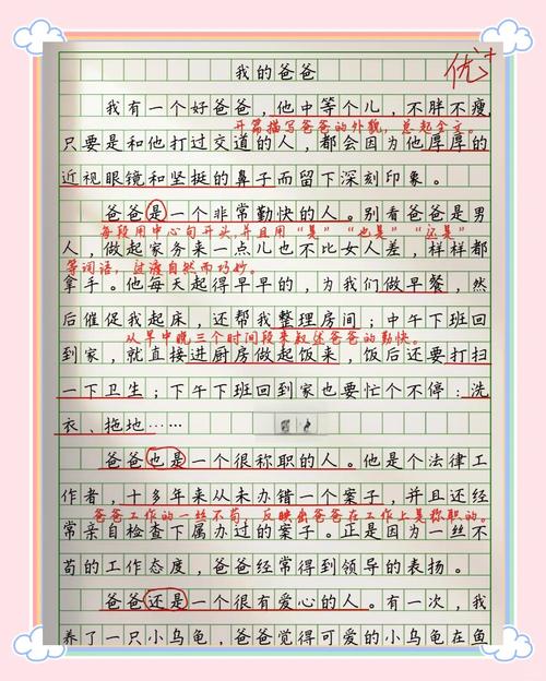 作文我的爸爸800初中