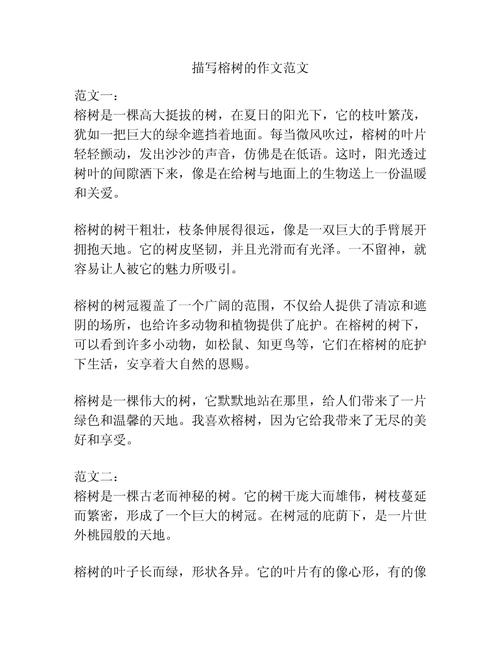 关于盆景榕树的作文初中