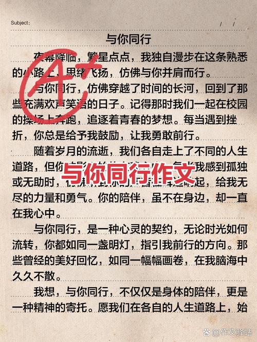 初中作文与什么什么同行