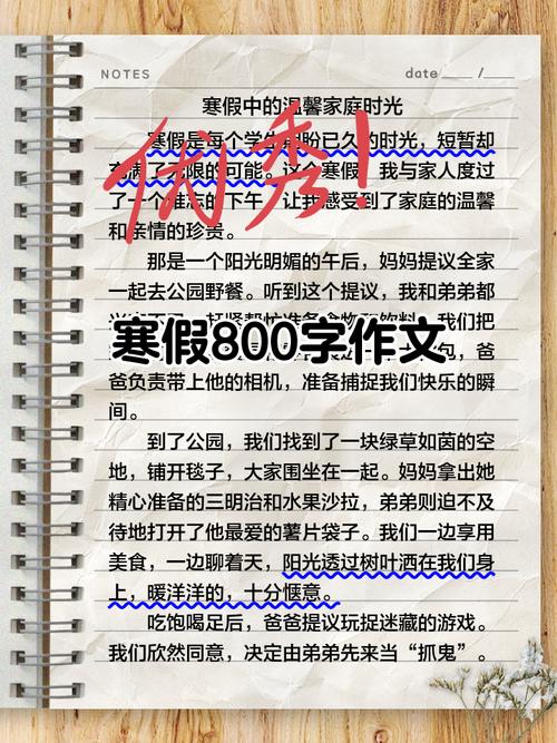 假日里的温馨800初中