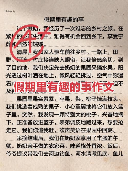 假日里的温馨800初中