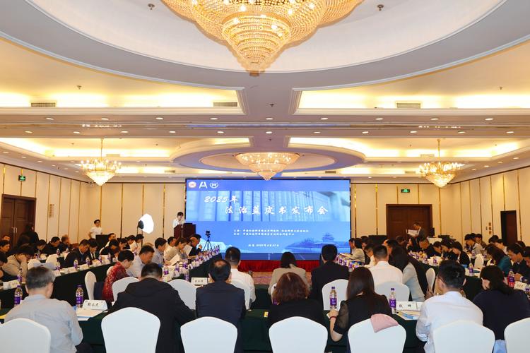 中国早教蓝皮书 购买