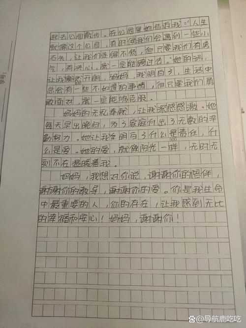 感谢有你作文800初中