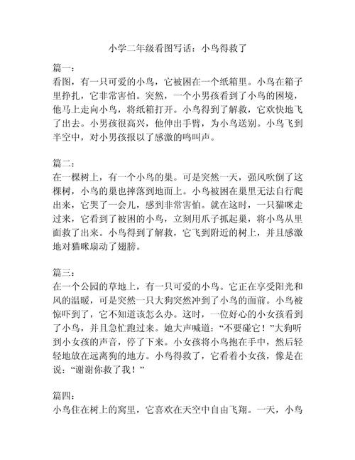 救小鸟初中作文600字