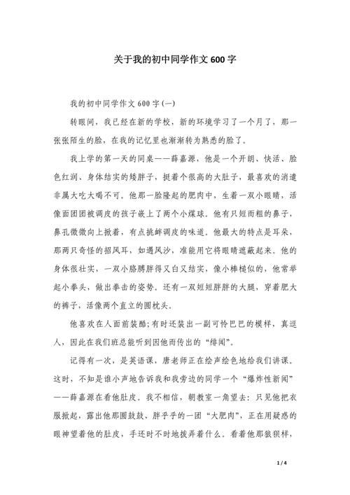 初中作文 隔壁班的同学