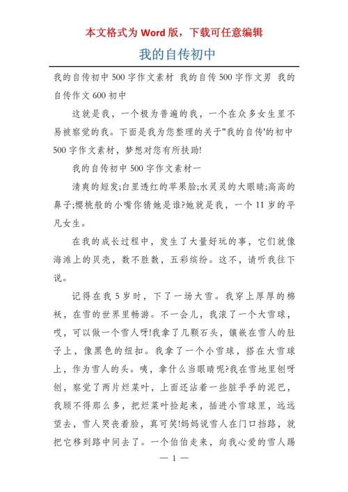 我的自传初中作文700