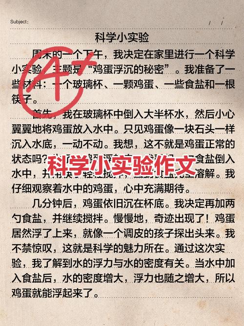 科学小实验初中200字