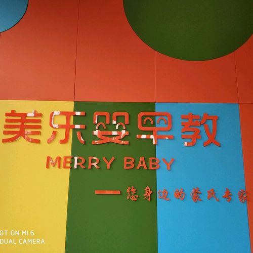 福建早教老师培训机构