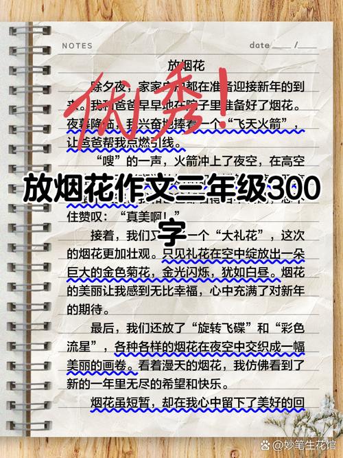 看烟花作文300字初中