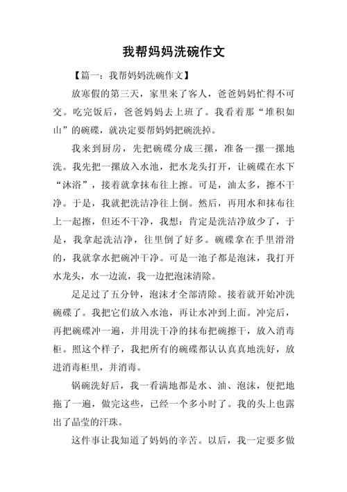 洗碗记作文600字初中