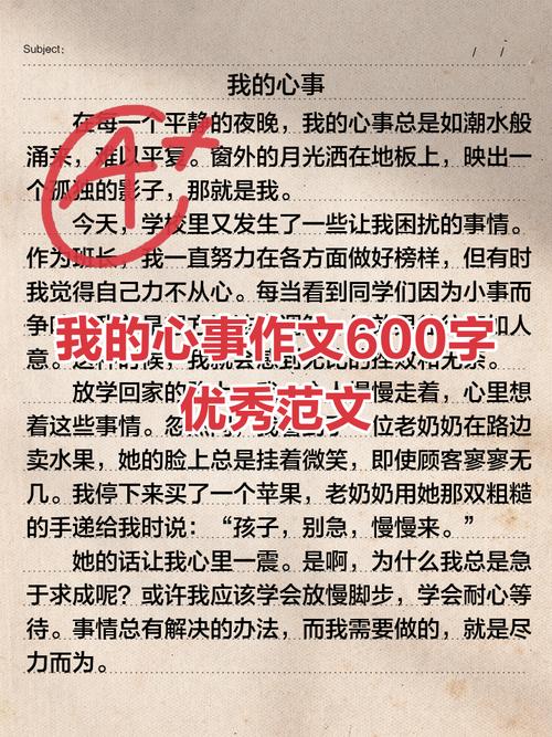 我的心事600字 初中