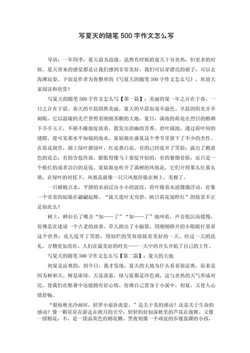 夏天的作文500字初中