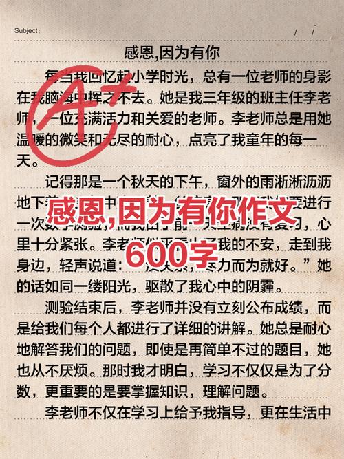 爱与感恩作文600初中