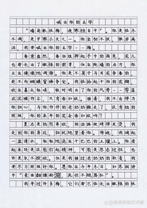 我的名字作文初中800