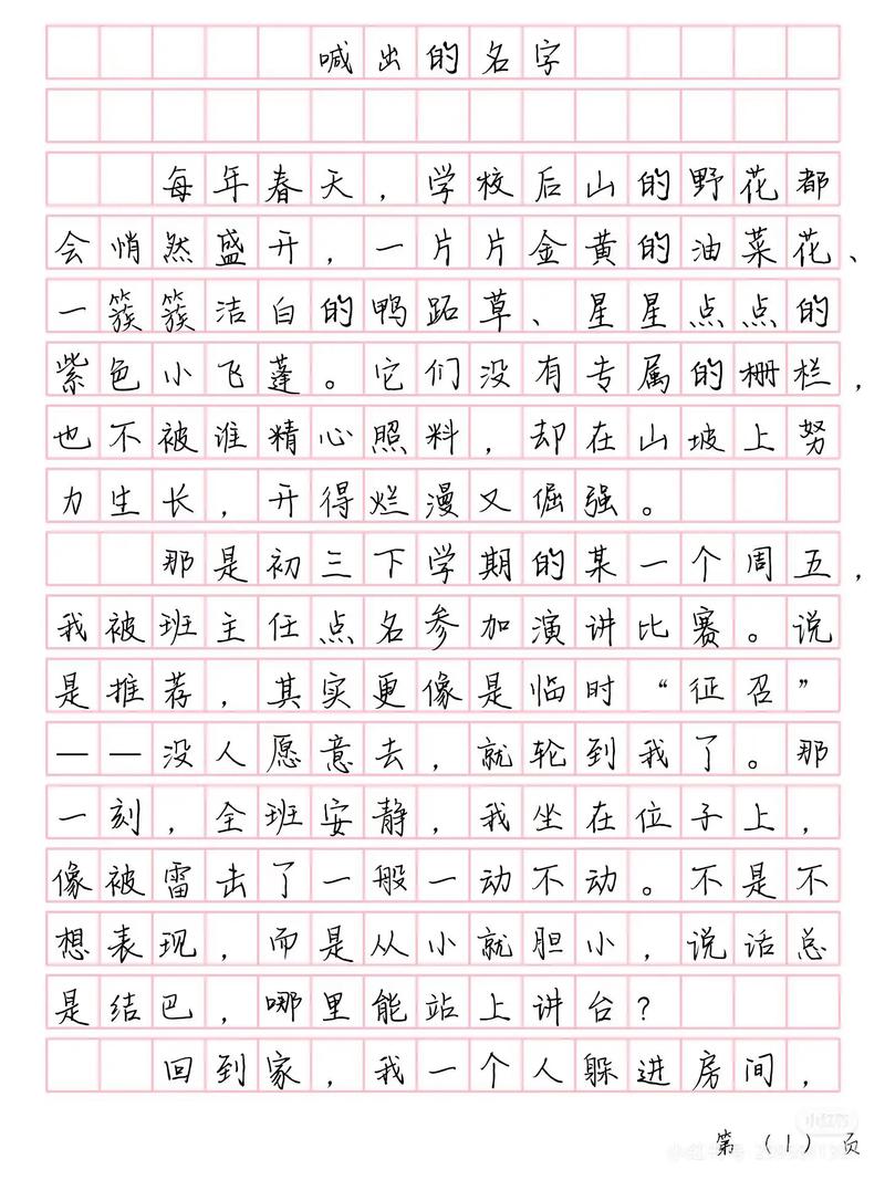 我的名字作文初中800
