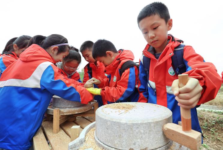 小学生社会实践活动有哪些