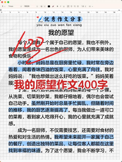 我的愿望作文400初中