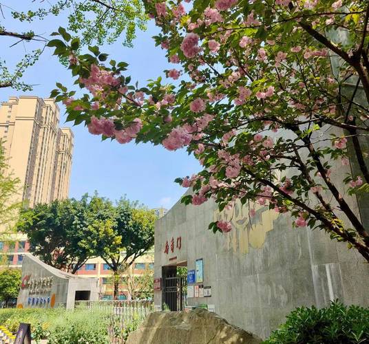 电子科技大学附属实验小学