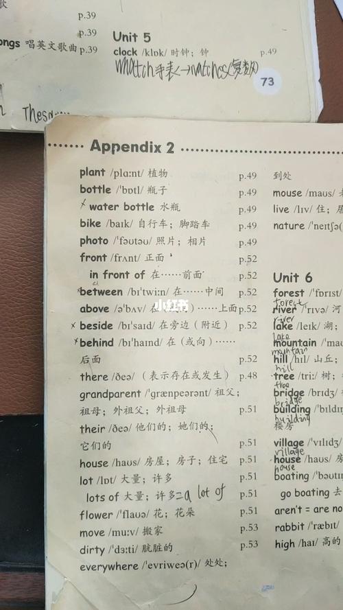 小学五年级上册英语单词表