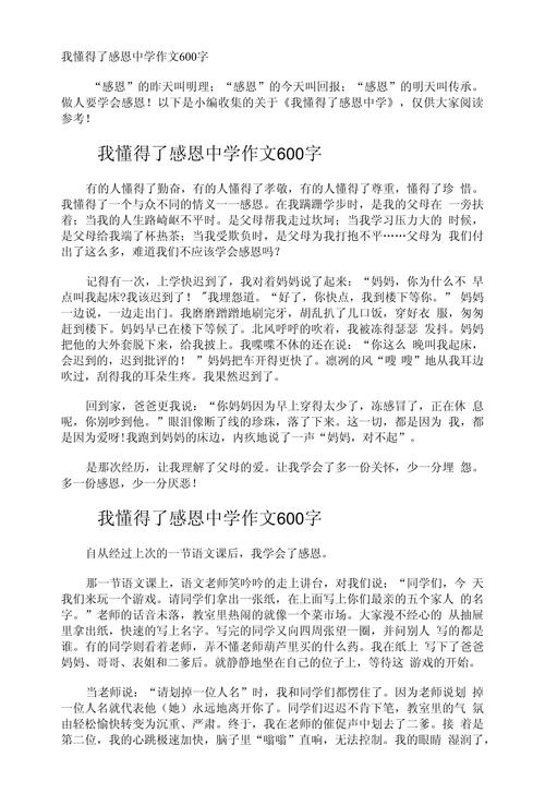 感激的初中作文600字
