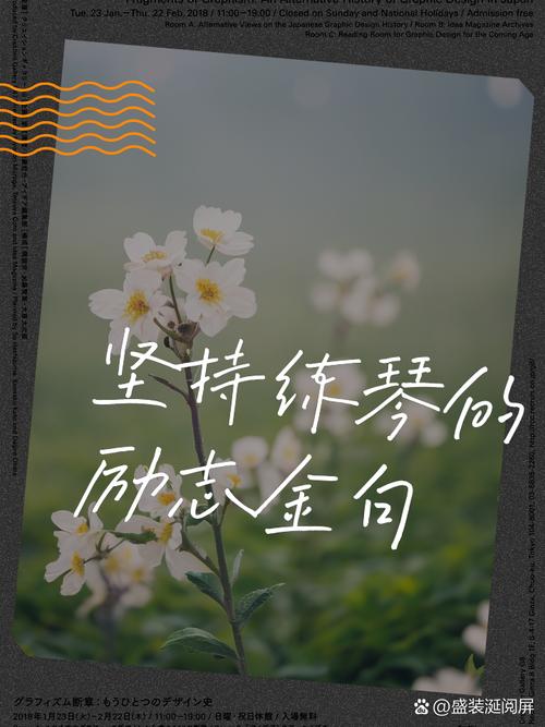 关于练琴坚持的描写初中