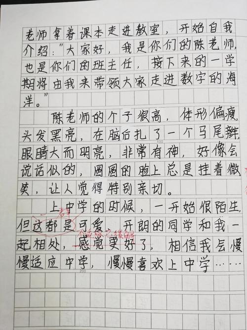 进入初中有什么感想作文