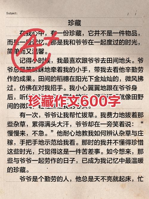 珍藏的快乐初中优秀作文