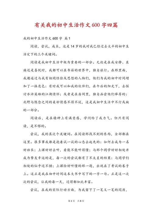 再见了 我的初中600