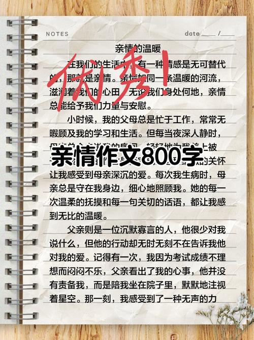 初中作文关于亲情的故事