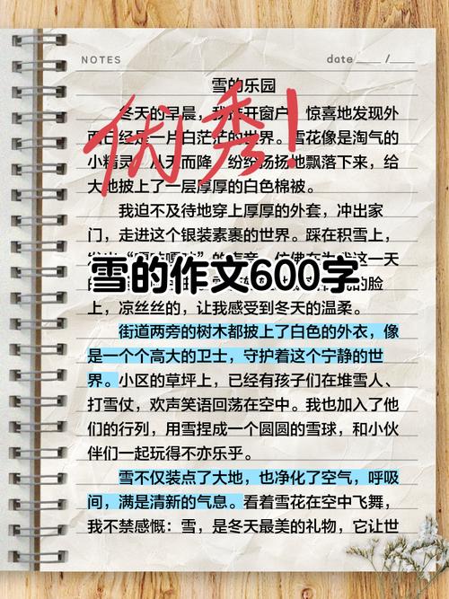 关于雪的700作文初中