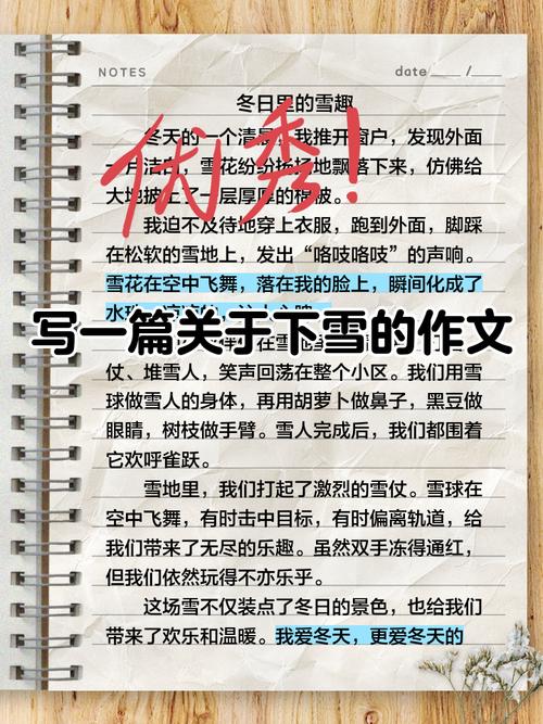 关于雪的700作文初中