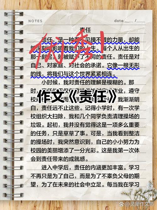 关于成长责任的初中作文