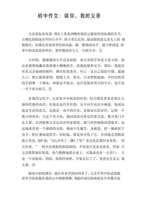 我的父亲作文700初中