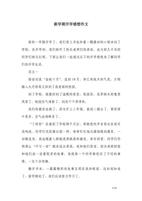 初中住开学感想300字