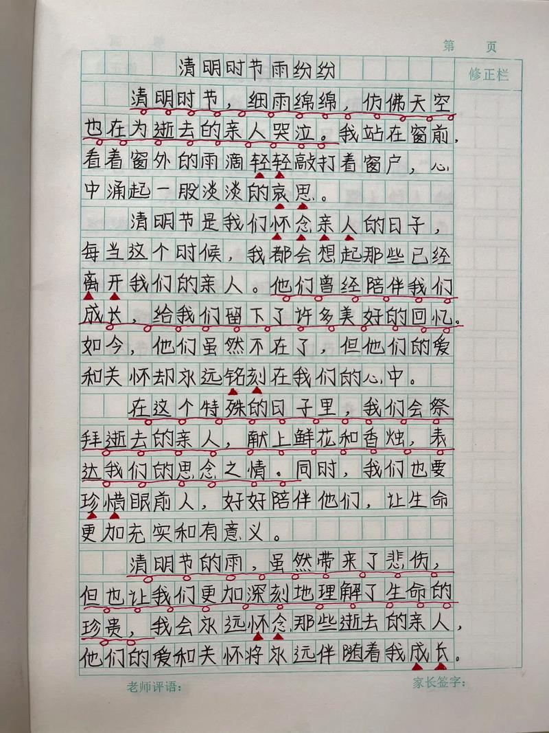 清明雨作文600字初中