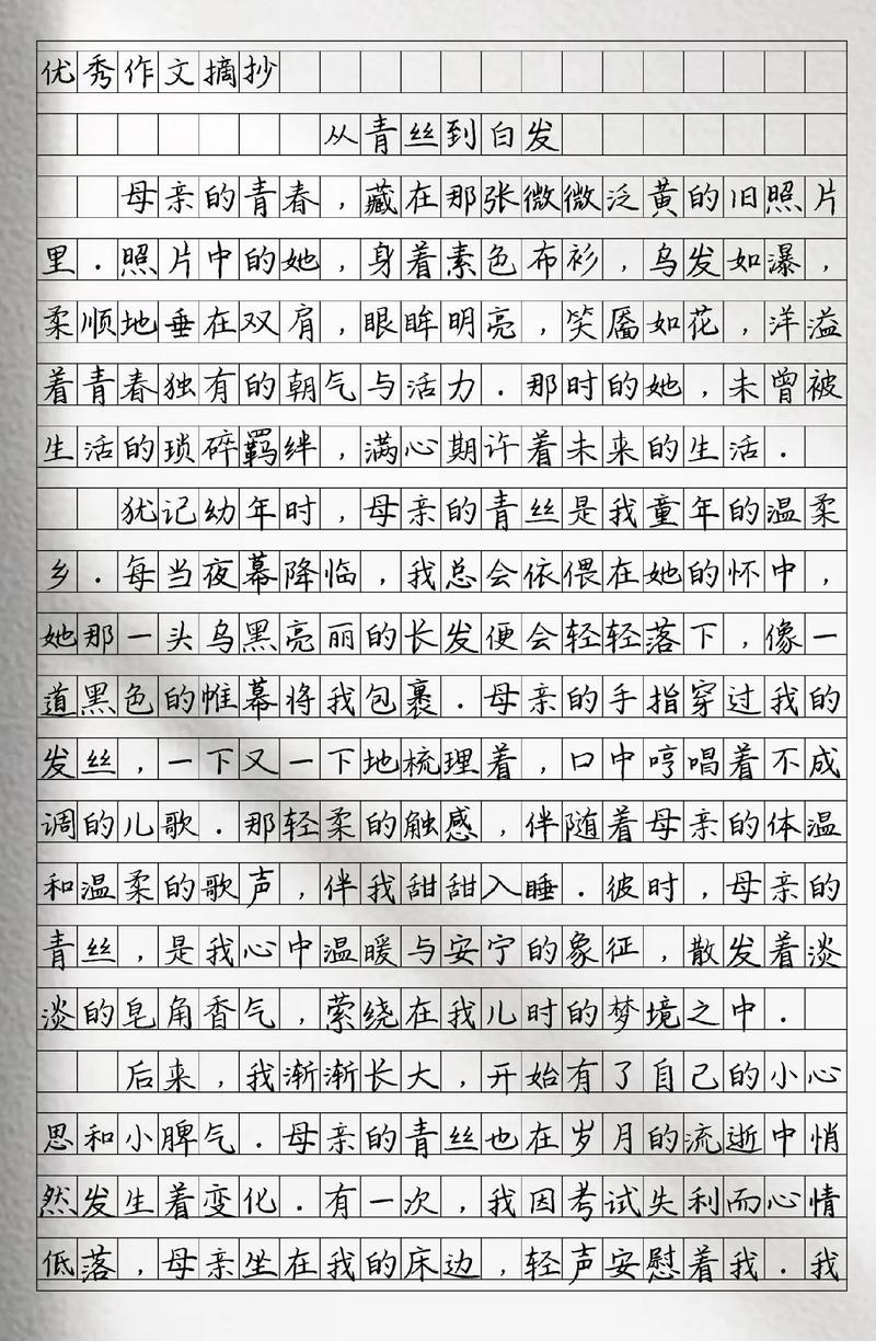向母爱致敬600字初中