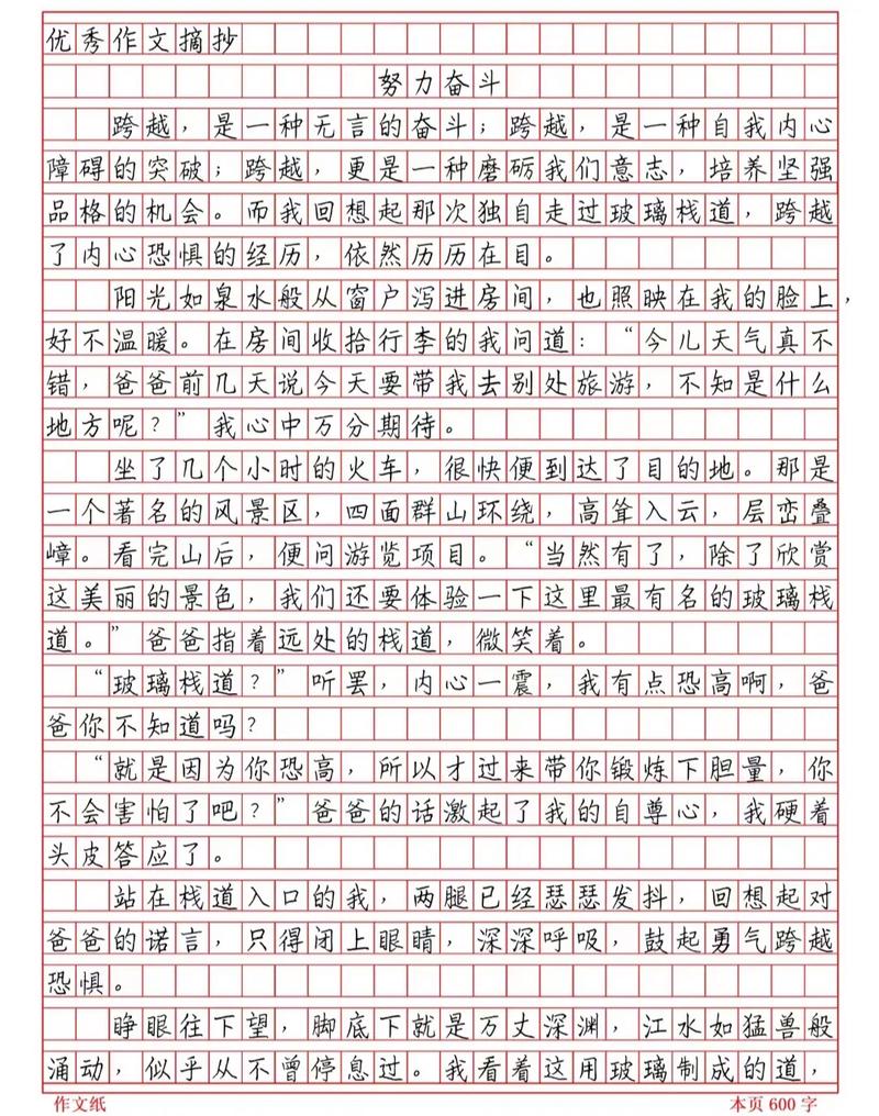 关于努力的作文初中作文
