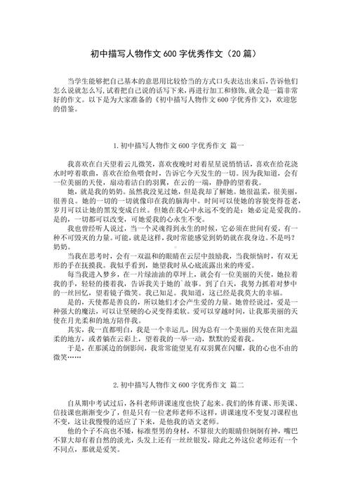 准备上初中作文600字